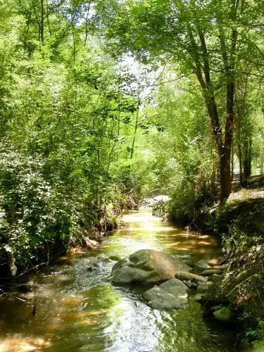 Cabañas Abril