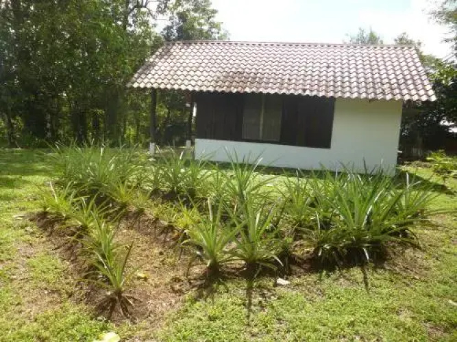 Finca Iza
