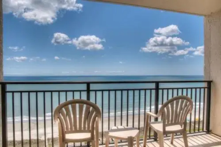 Ocean Forest 2011- Ocean Front