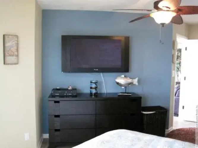 Beach Palms 109