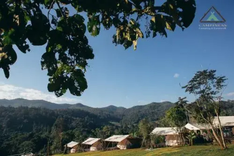 Campiness Camping & Farmsook