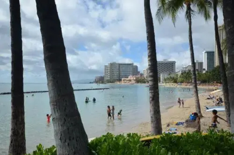 Kuhio Village #601A by RedAwning