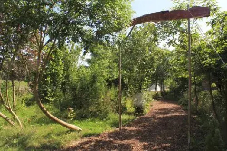 Plush Tents Glamping