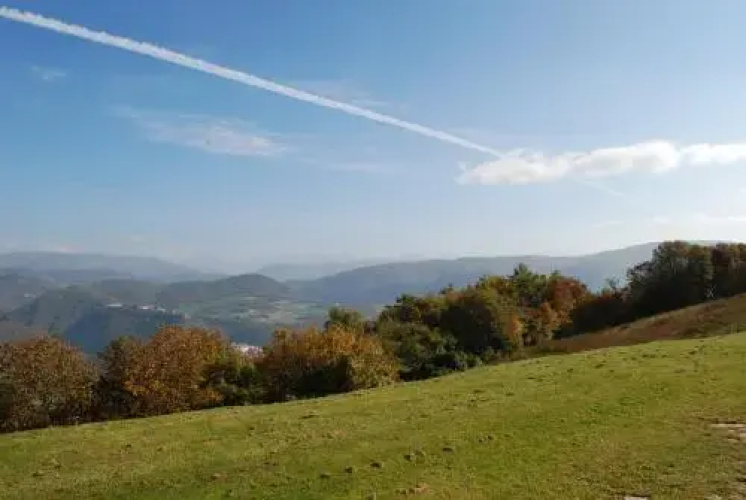 La Ginestra