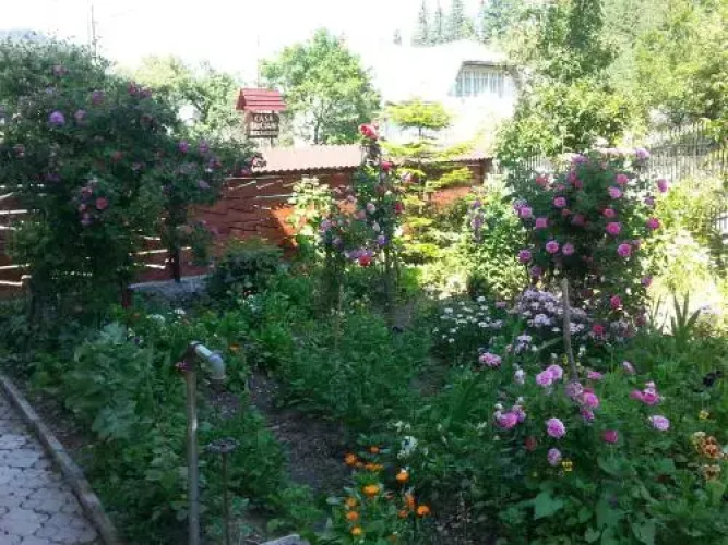 Casa Lucian