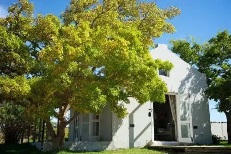 South Hill Guesthouse