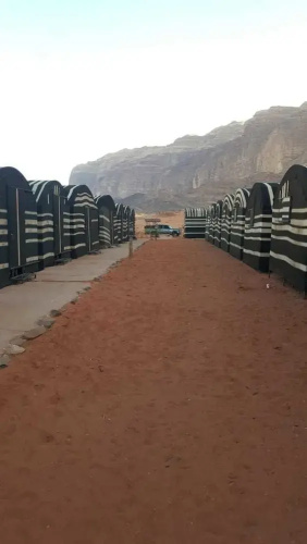 Wadi rum light camp