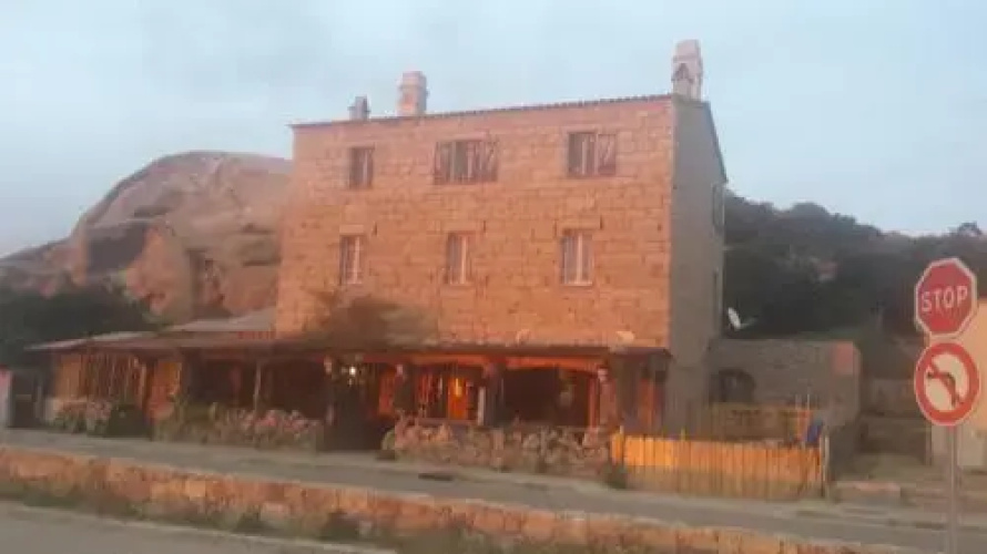 L'oasis du Lion