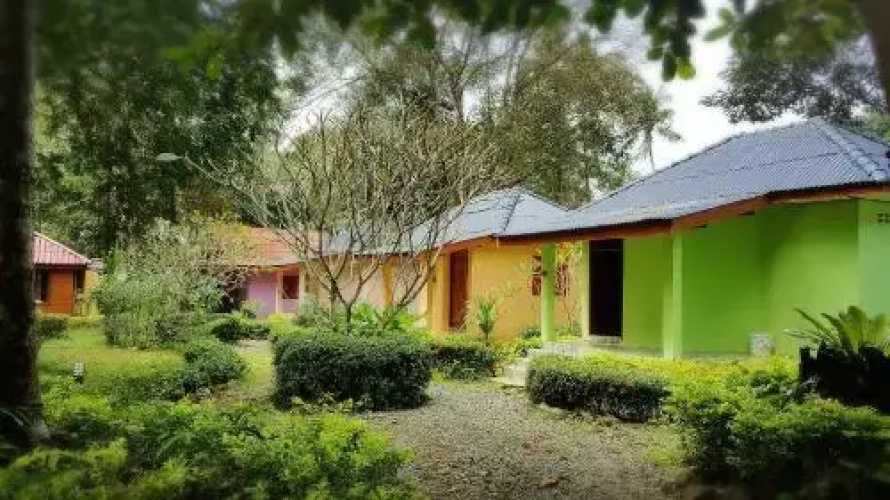 The Sunflower Bungalows