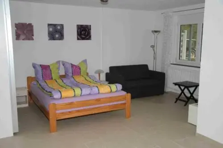 Ferienwohnung Rheingeschaut
