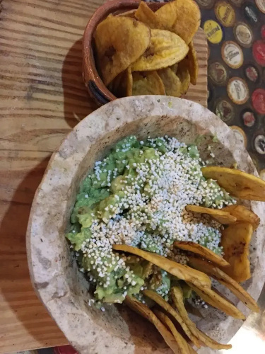 El Jardín de Frida