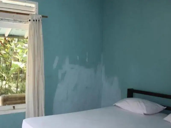 Papaya Homestay