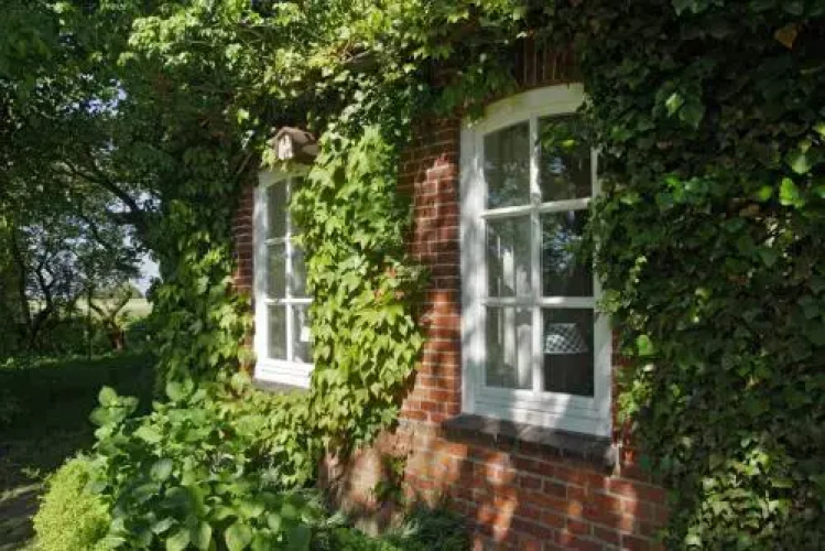 Ferienhaus Mandepolder