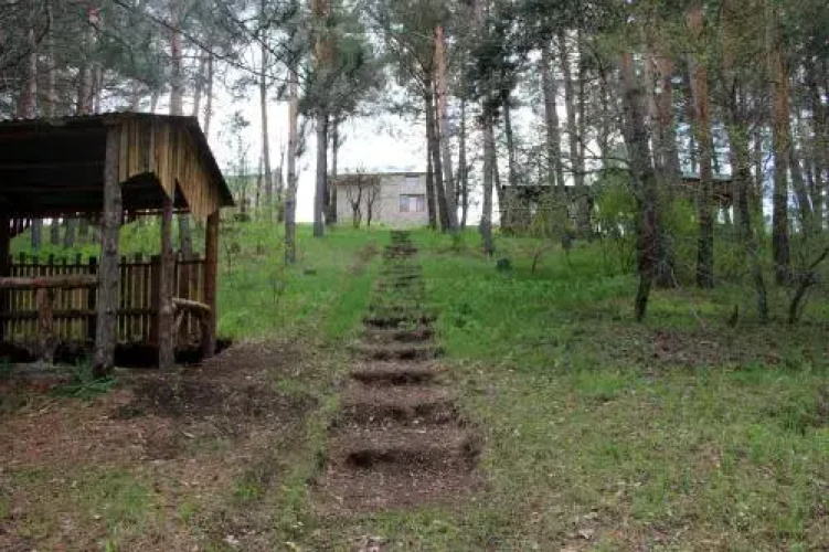 Pote