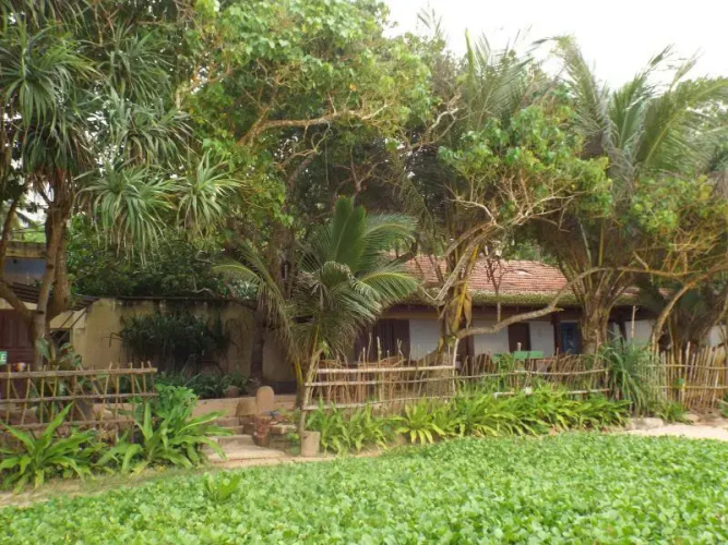 The Shack