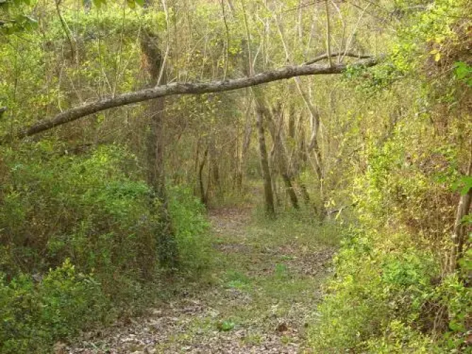 Reserva La Juana Ecolodge