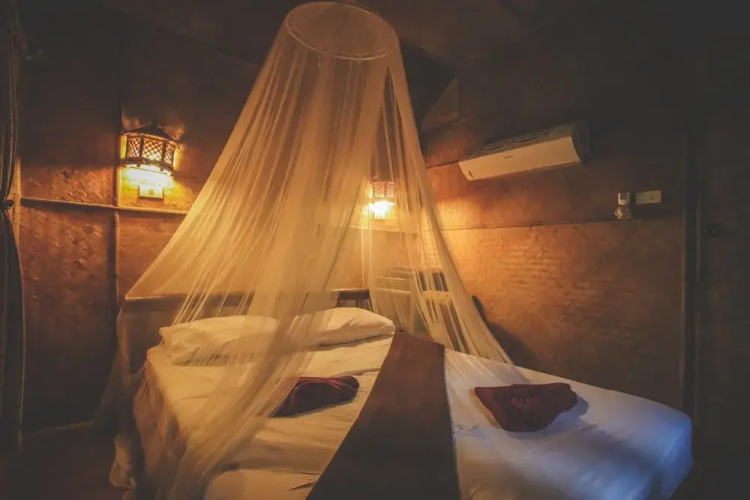 Bamboo Jungle Resort