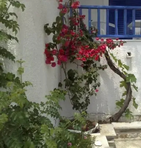 Villa Erotiki