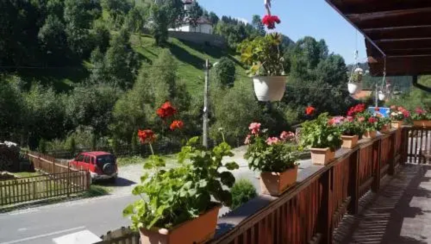 Casa din Vale