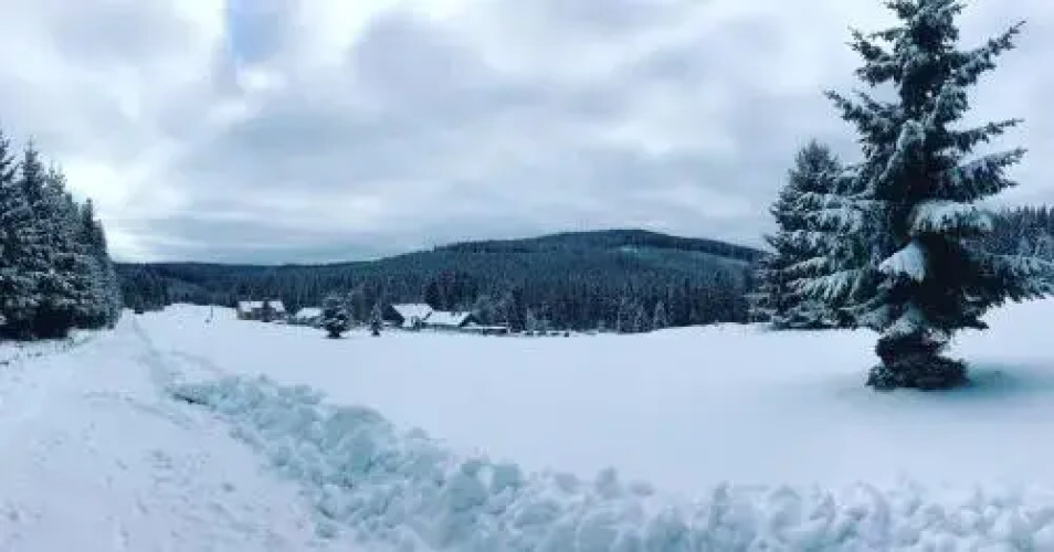 U Červené lišky