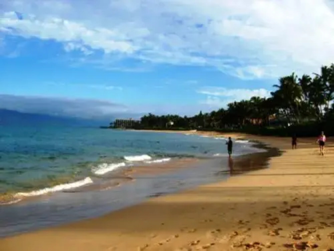 Palms at Wailea #2305