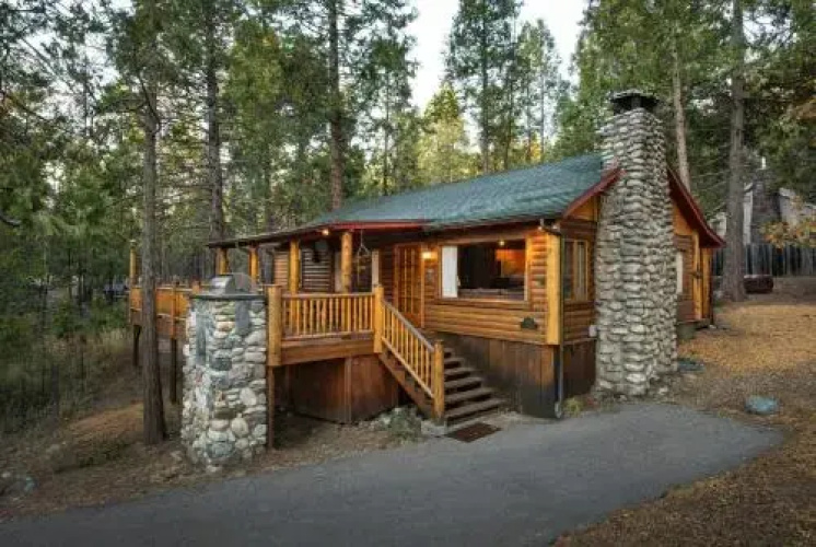 Sequoia