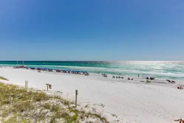 Gulf Terrace 260