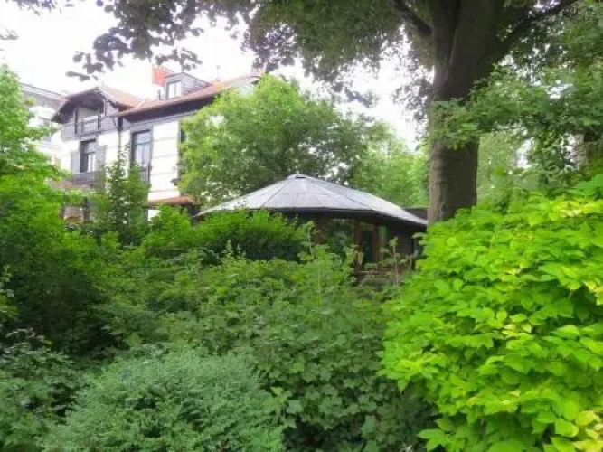 The Beech Tree Bed and Breakfast