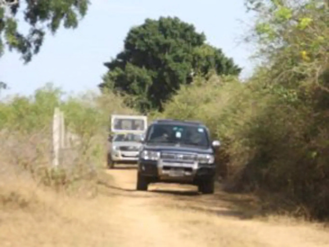 Dickshon Safari Camping