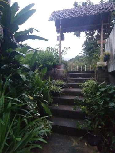 Honey Homestay