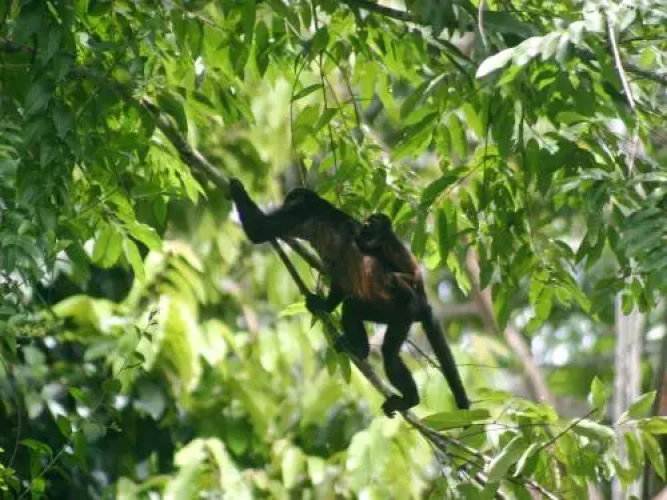 El Colibri Lodge