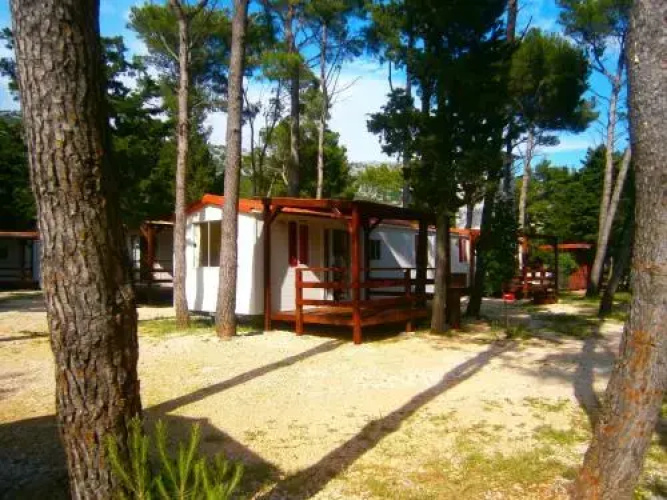 Camp Sibuljina