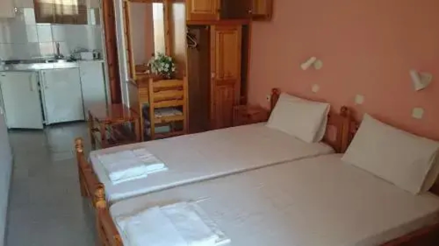 Kamelia
