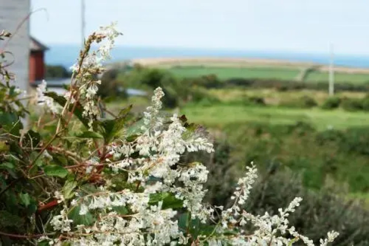 Hafan Penrhyn