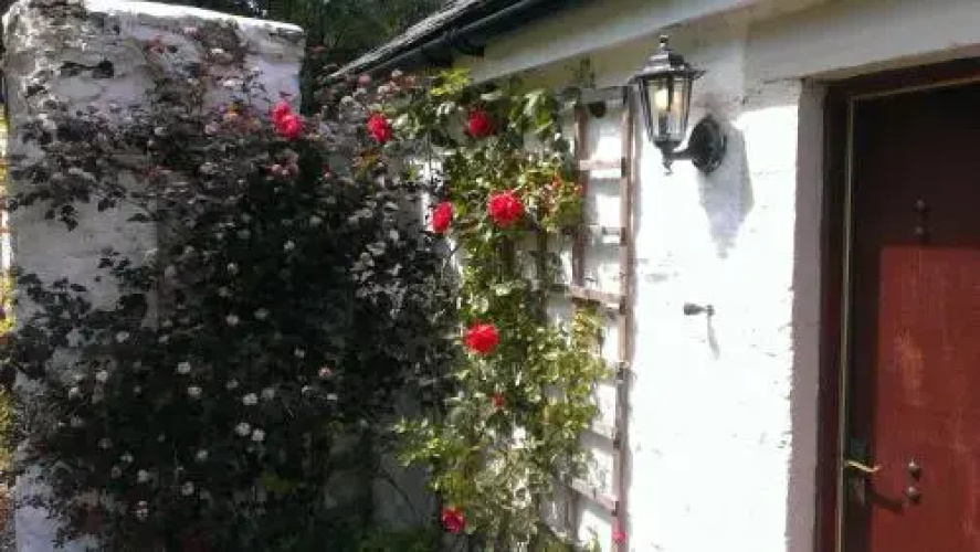 Whitestone Cottage
