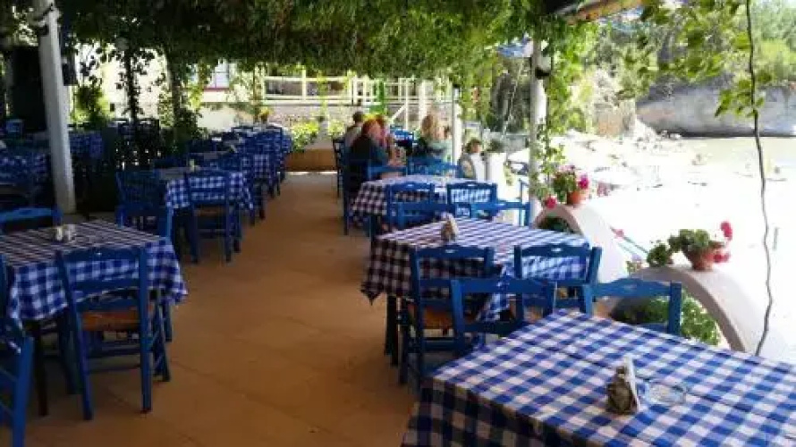 Green Velvet Hotel