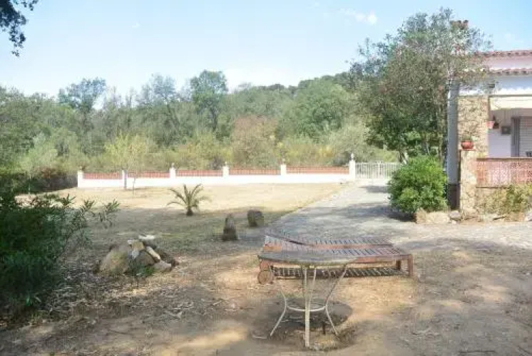 Mas Tomasi 26