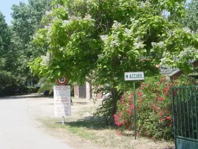Camping Benista