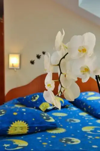 Pension Florica