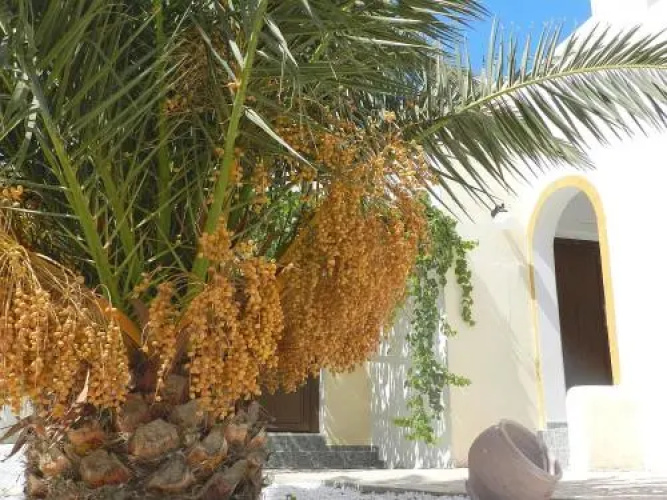 Tolakis Studios