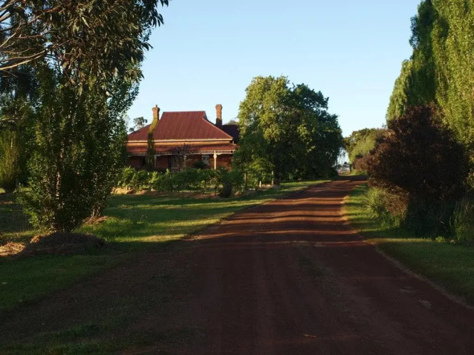 Pierrepoint Wines & Accommodation