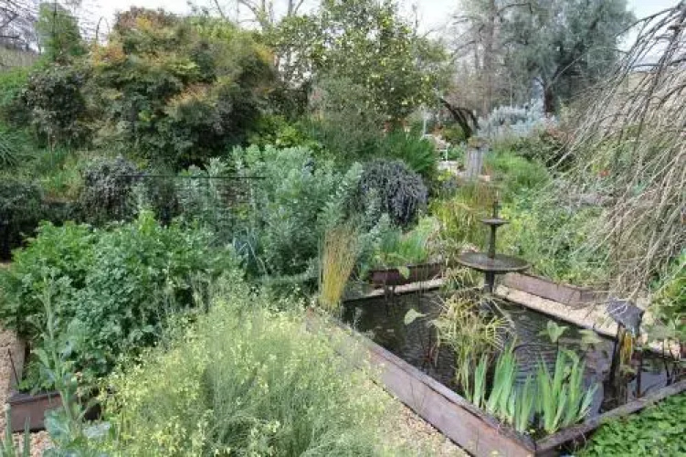 Palm House
