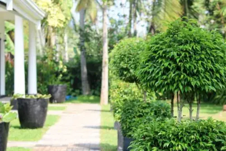 AdenLanka Villa