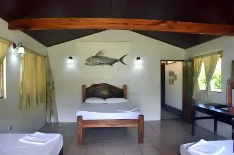 Jungla Del Jaguar