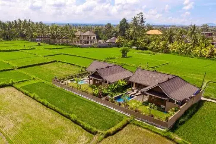 Villa Bali Green