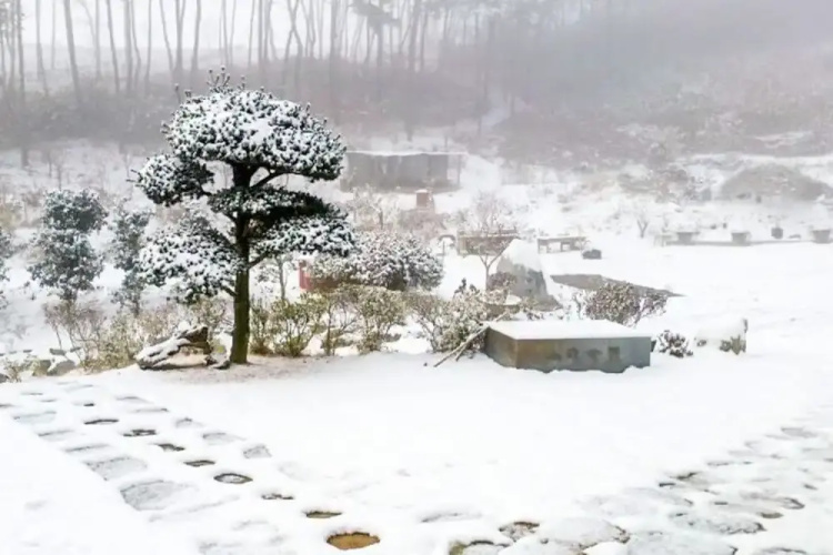 Seosan Pinehealing Pension