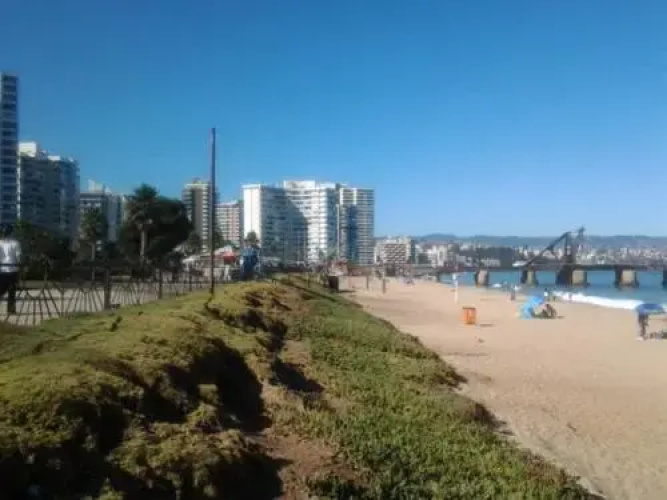 Arriendo Viña Playa Acapulco