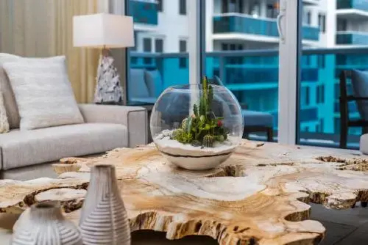 24th Street Condo #226508