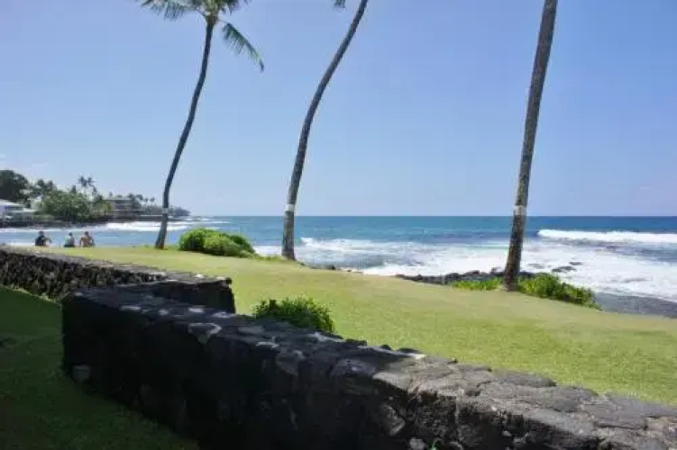 Kona Reef A6