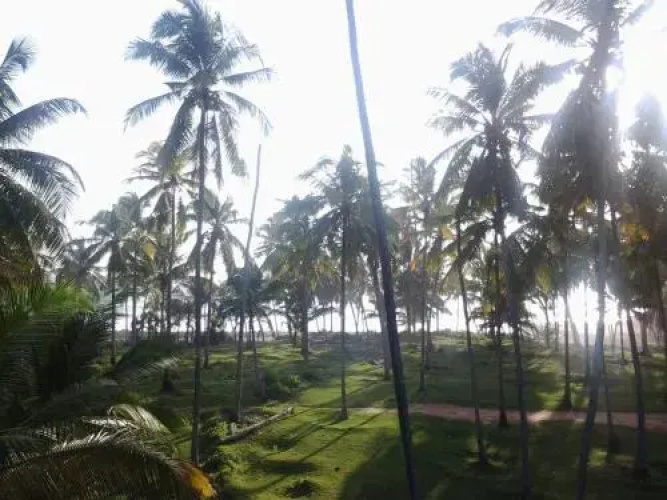 Mektoub Beach Resort